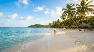 Spiaggia tropicale tranquilla con mare turchese, sabbia bianca e palme, ideale per una vacanza al caldo tutto l’anno